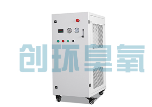 崇明石斑鱼养殖水质调控完整指南：臭氧发生器配置与操作步骤