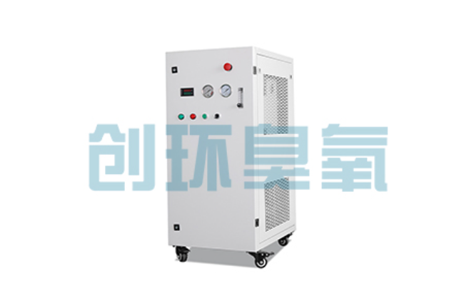 崇明比传统换水更高效？臭氧发生器在石斑鱼养殖中的水质净化原理解析